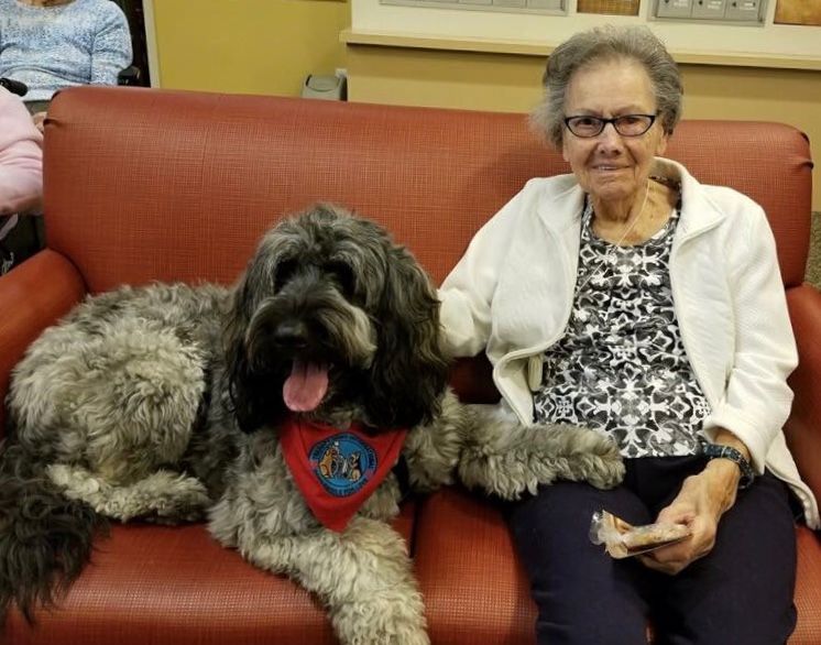 Elderly woman sitting with large fluffy dog